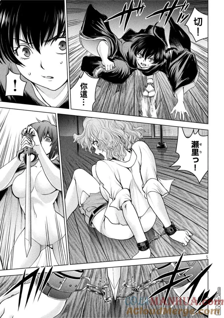 第5页