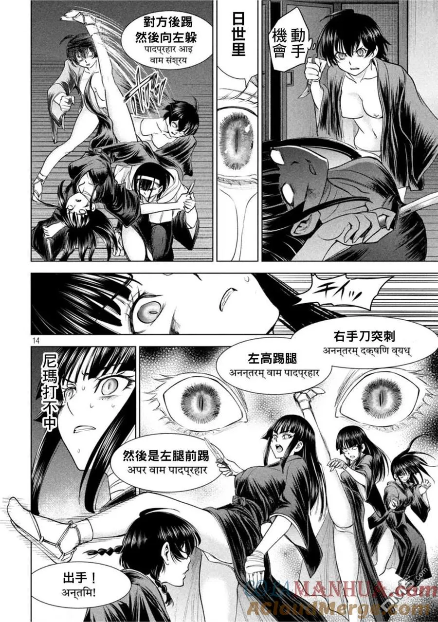 第13页