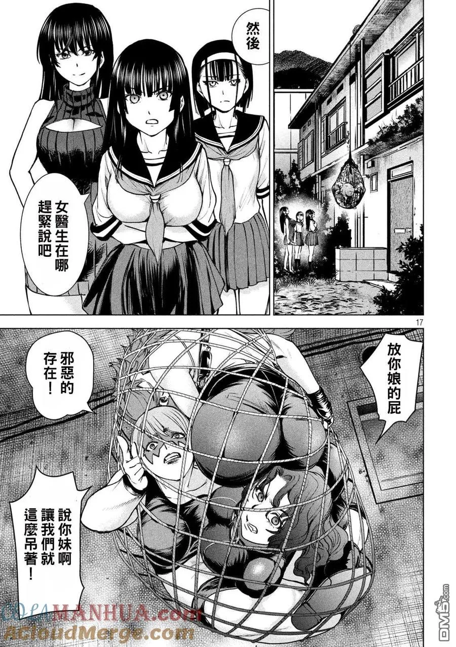 第17页