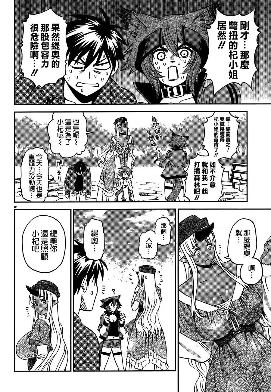 第12页