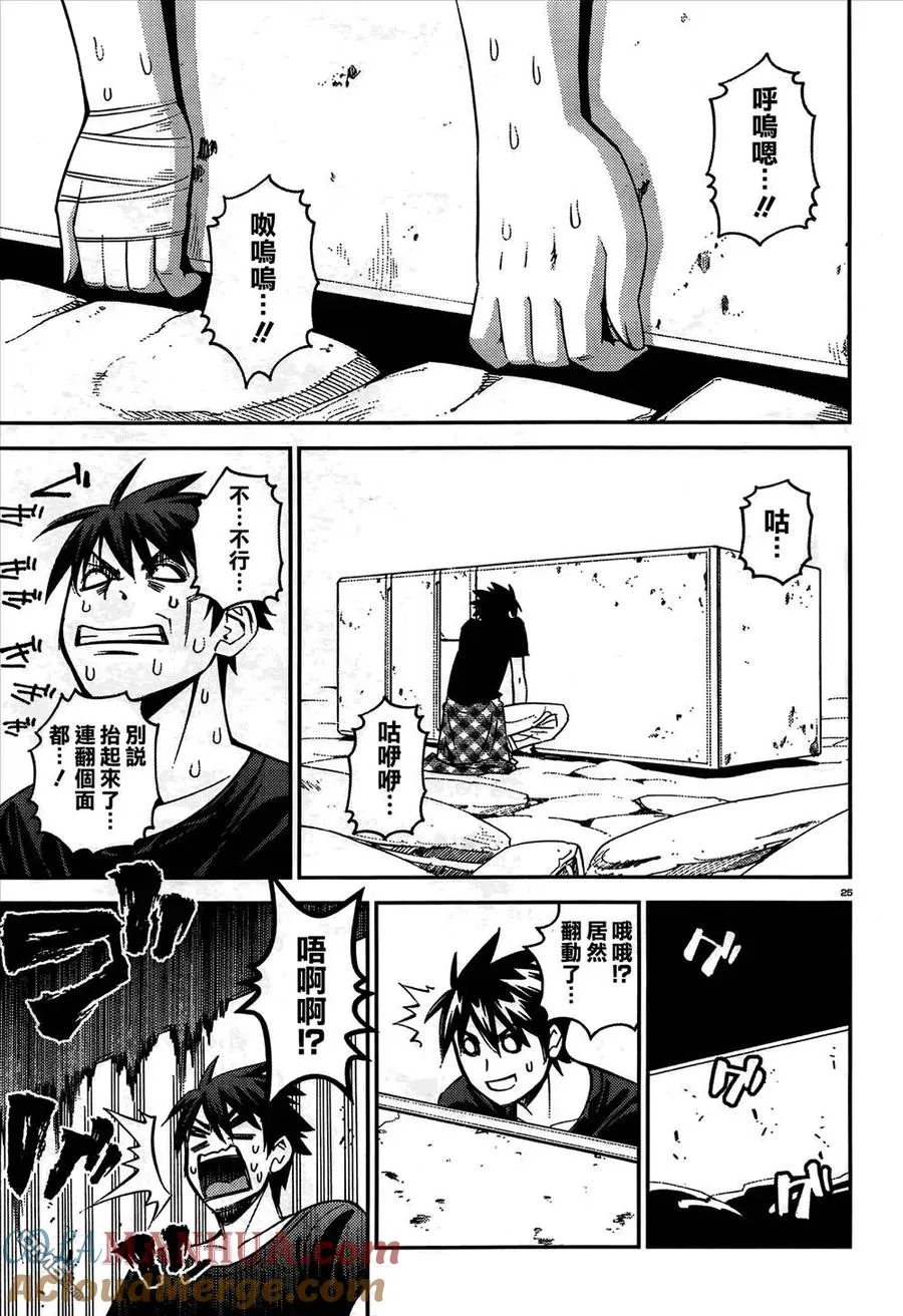 第25页
