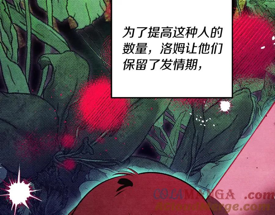 第205页