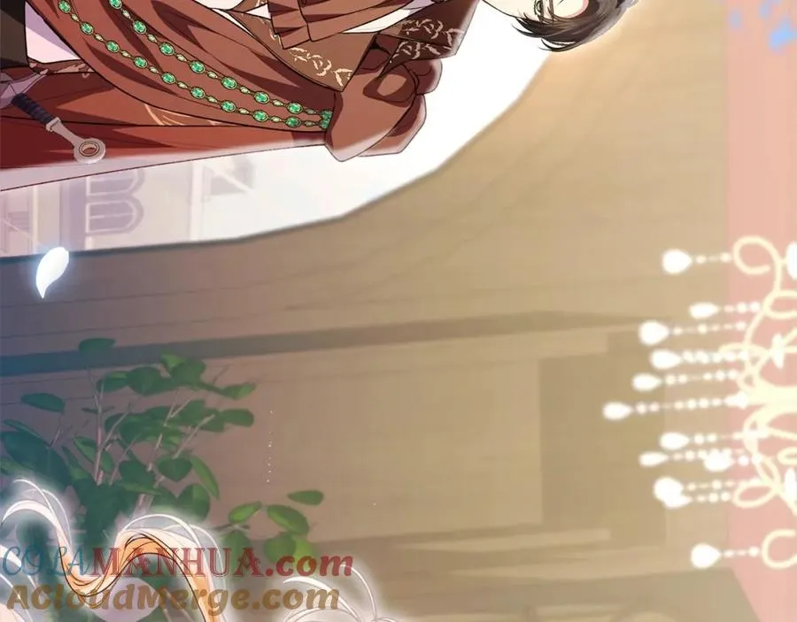 第185页