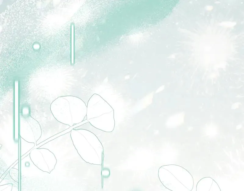 第215页