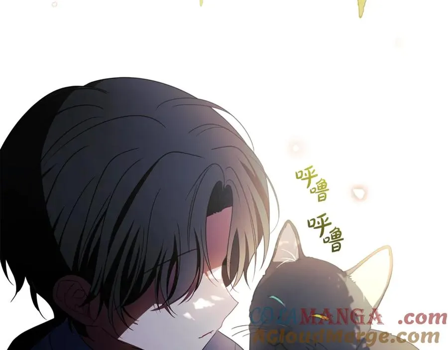 第233页
