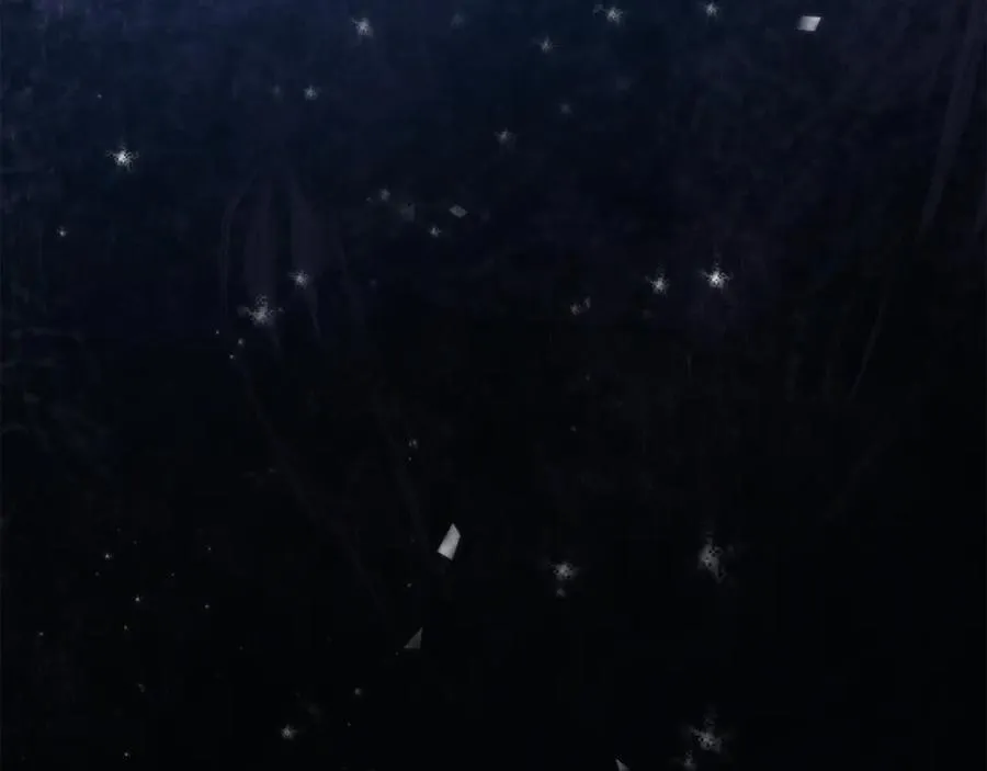 第202页