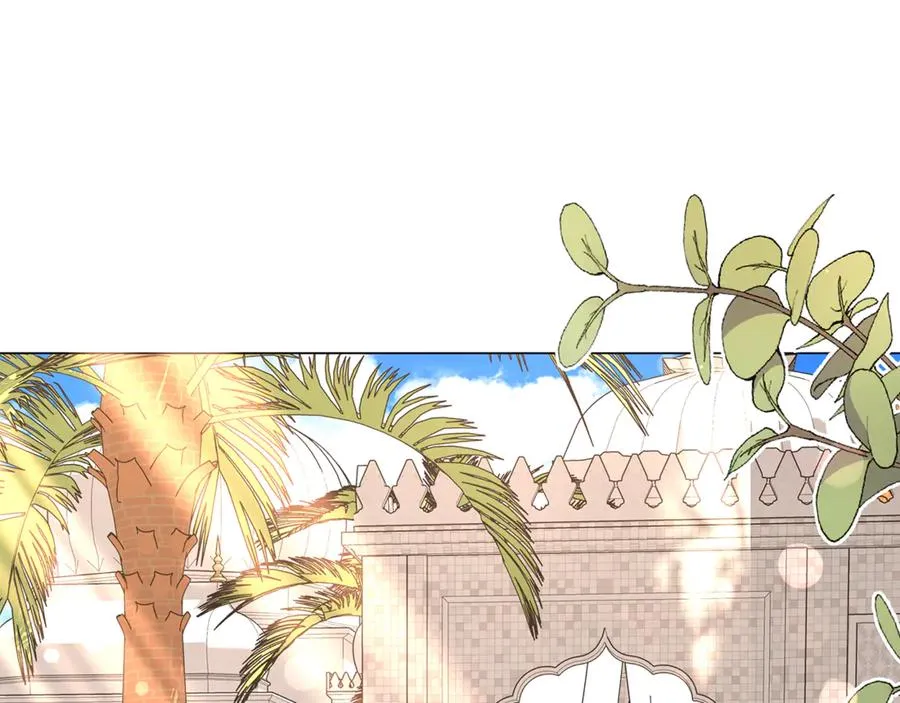 第243页