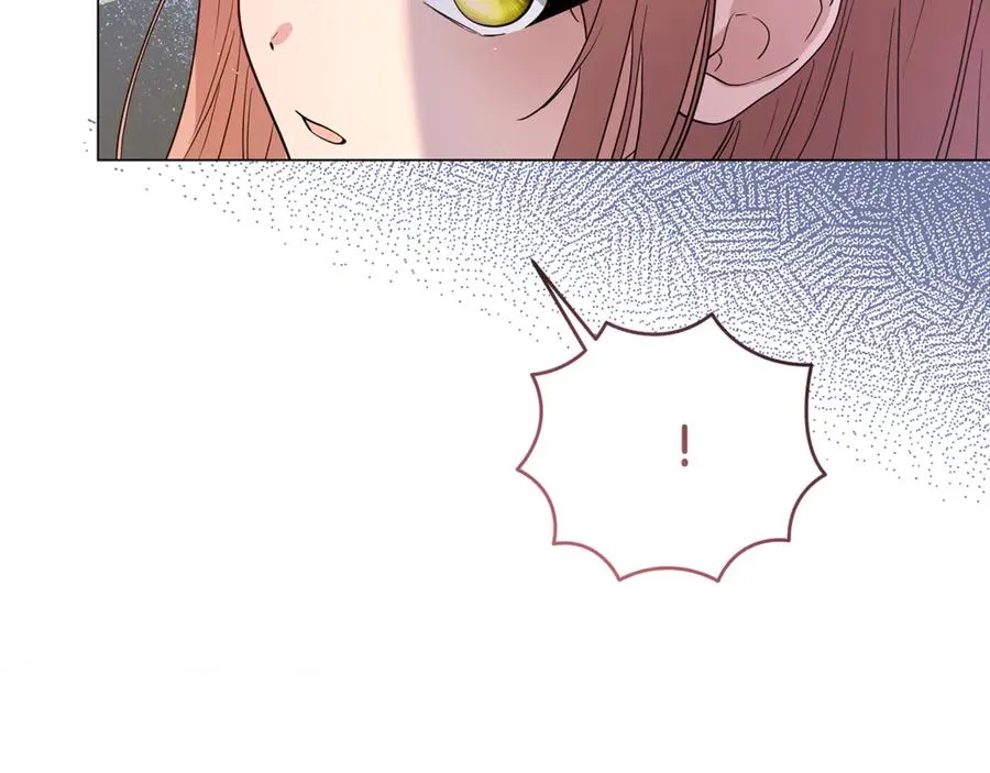 第262页