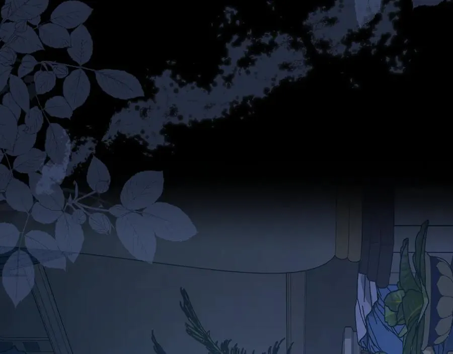第223页
