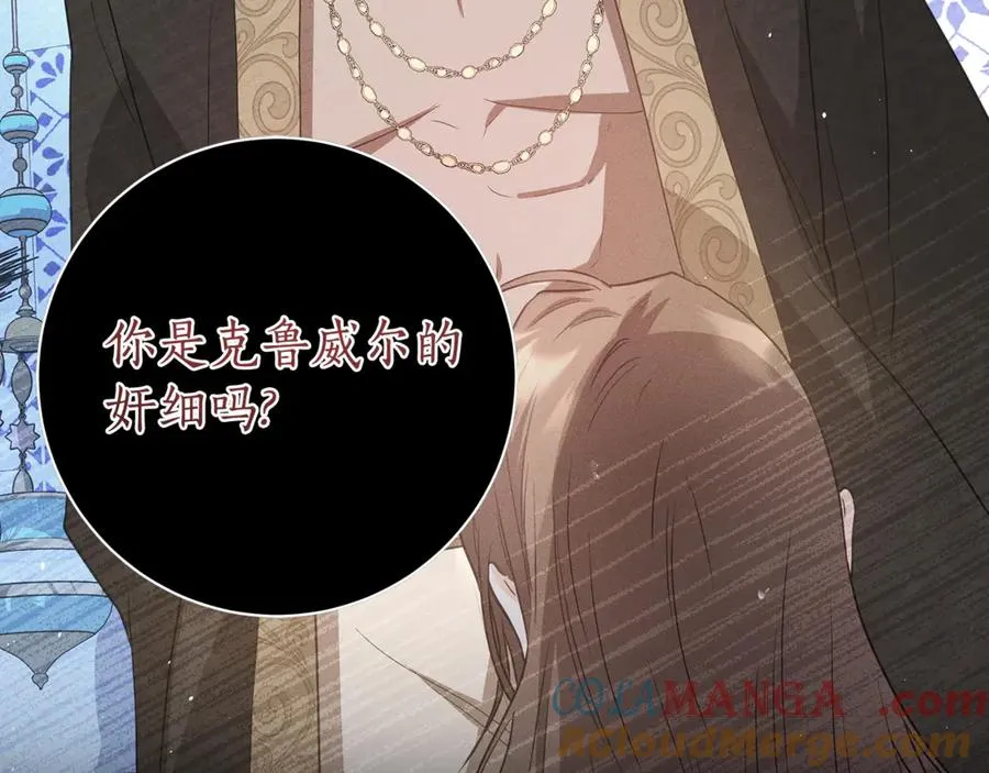 第217页