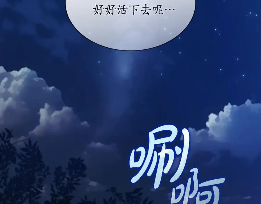 第247页
