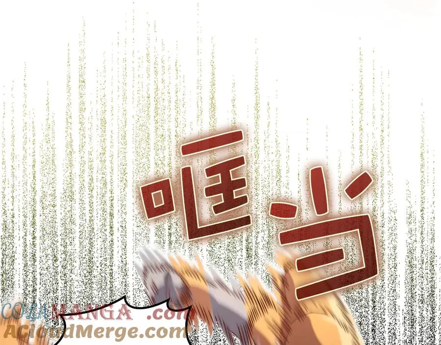 第213页