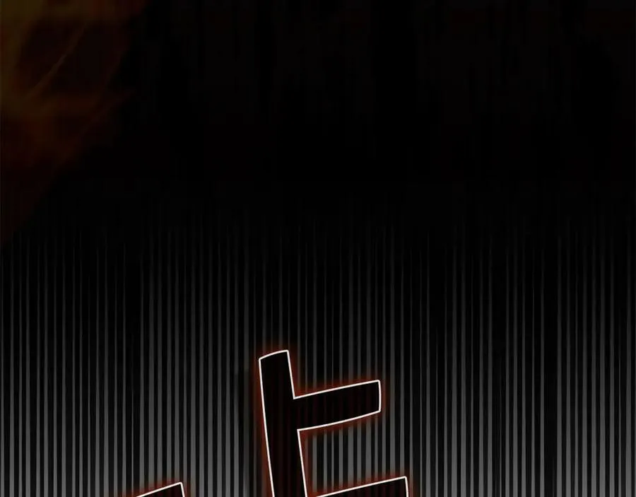 第244页