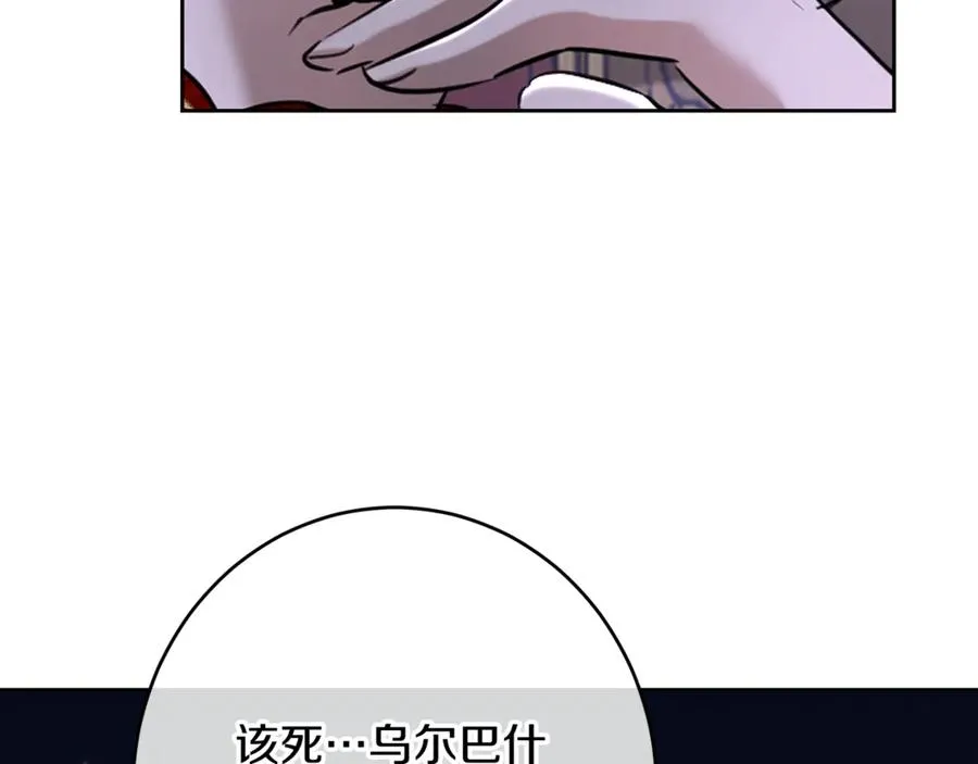 第223页
