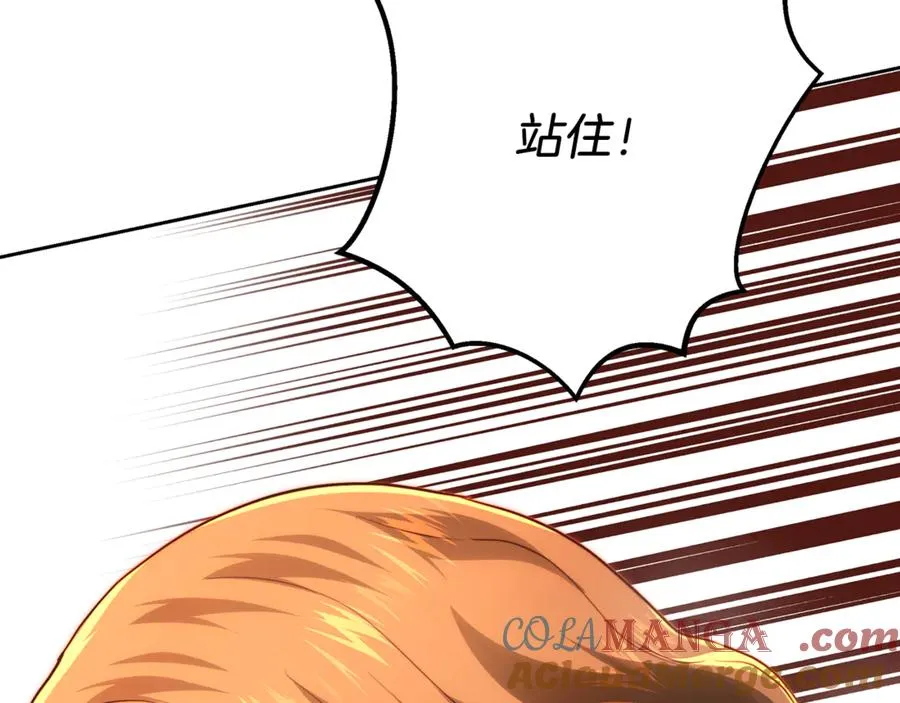 第229页