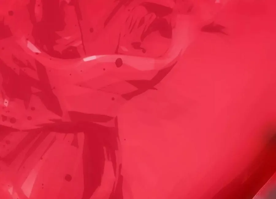 第236页