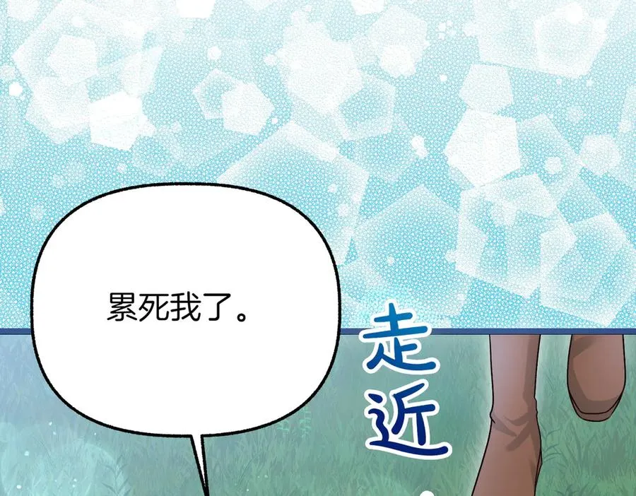 第216页