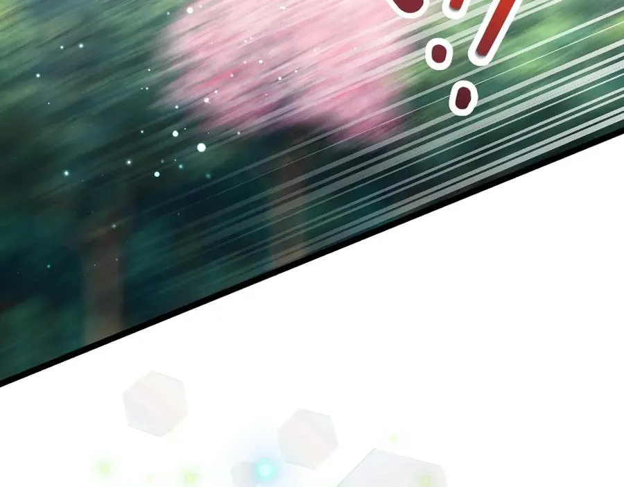 第251页