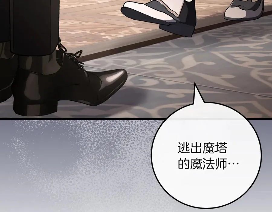 第223页