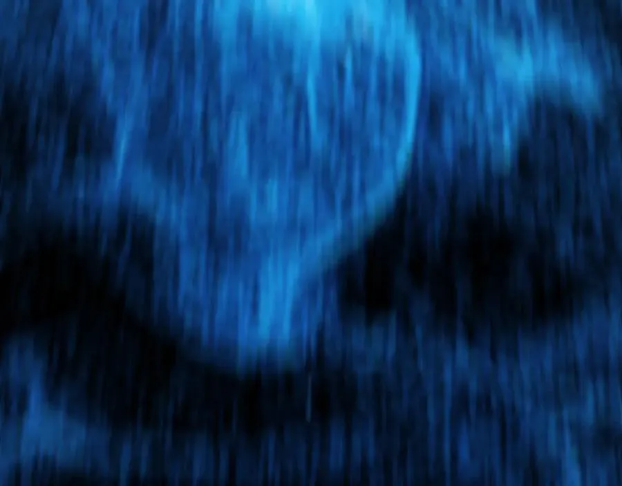 第195页