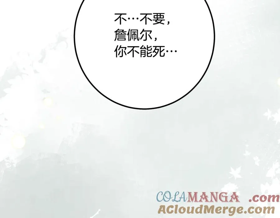第261页