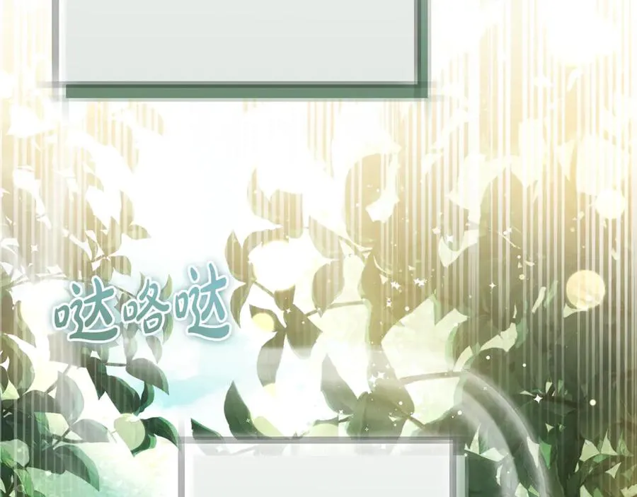 第244页