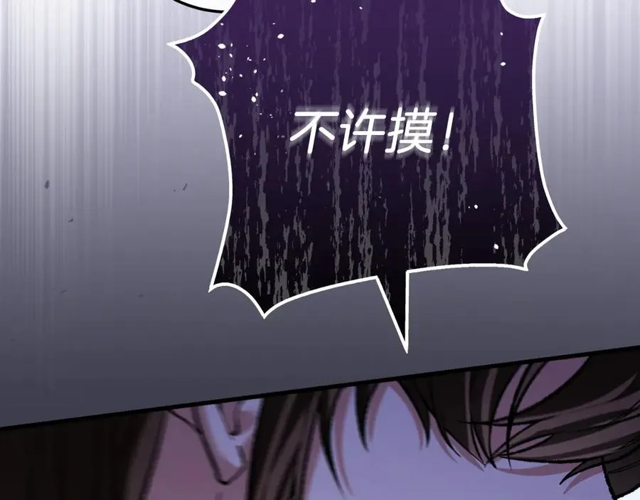 第223页