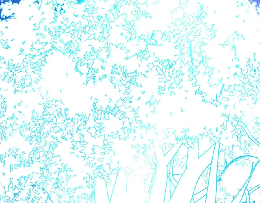 第196页