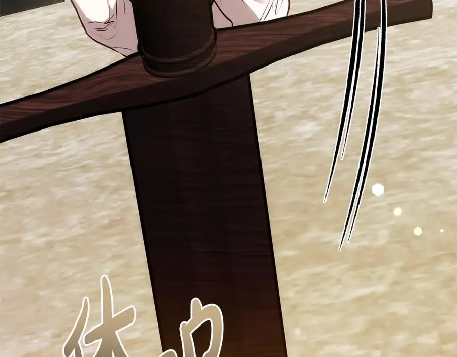 第231页