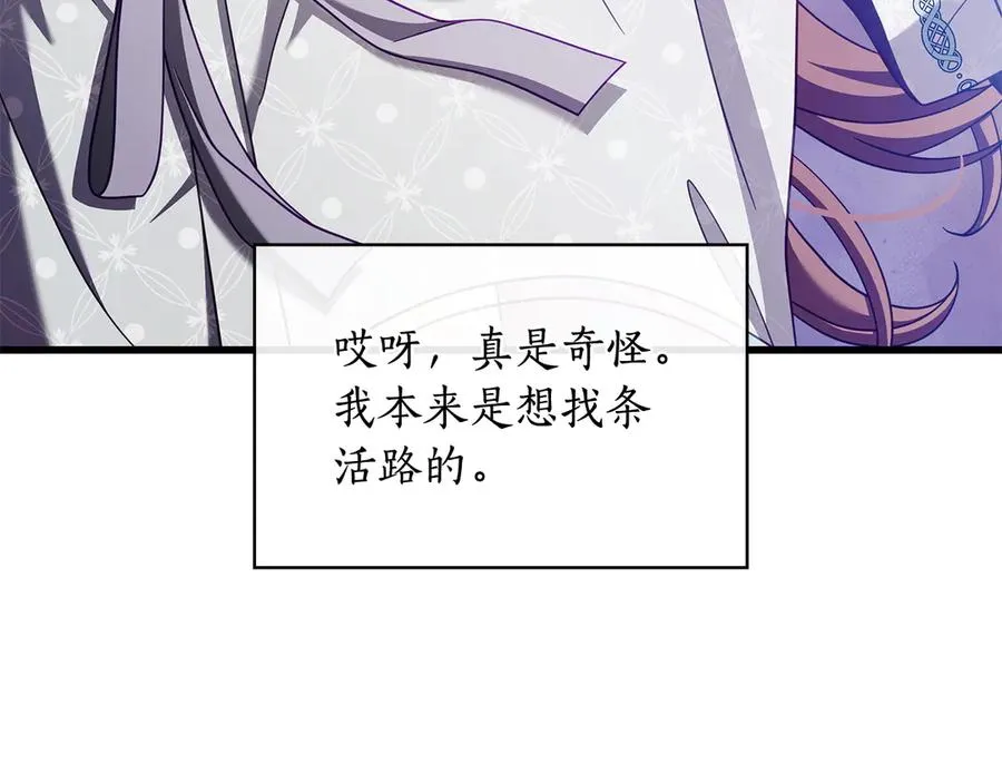 第204页