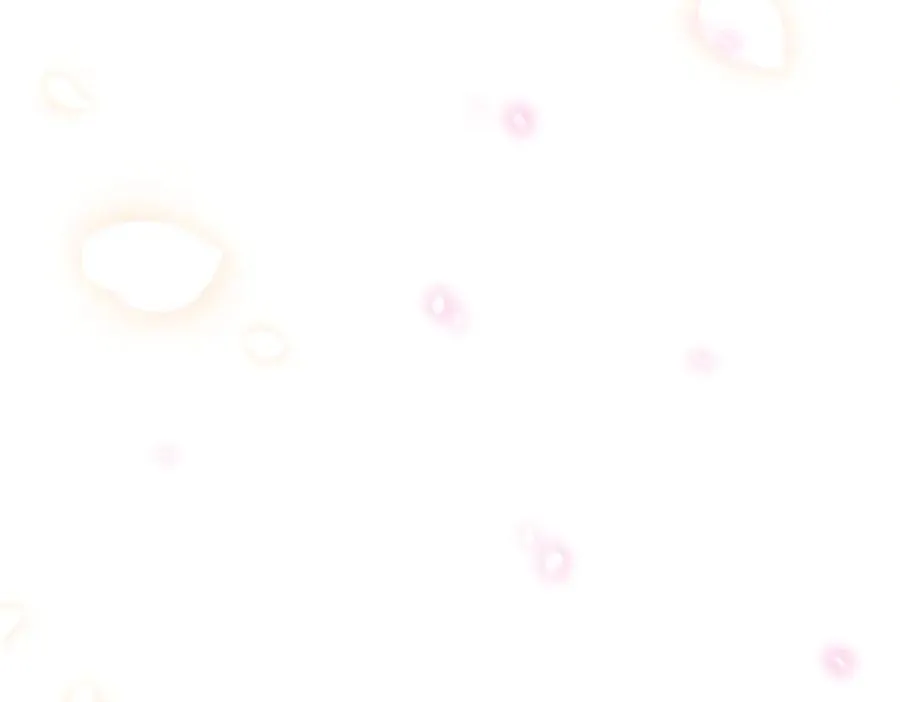 第262页