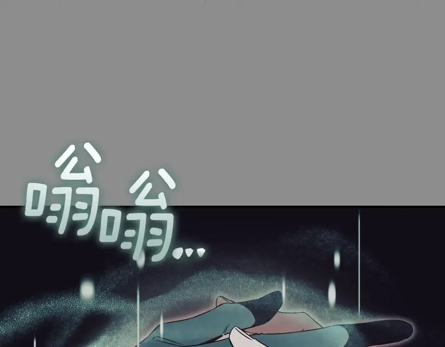 第260页
