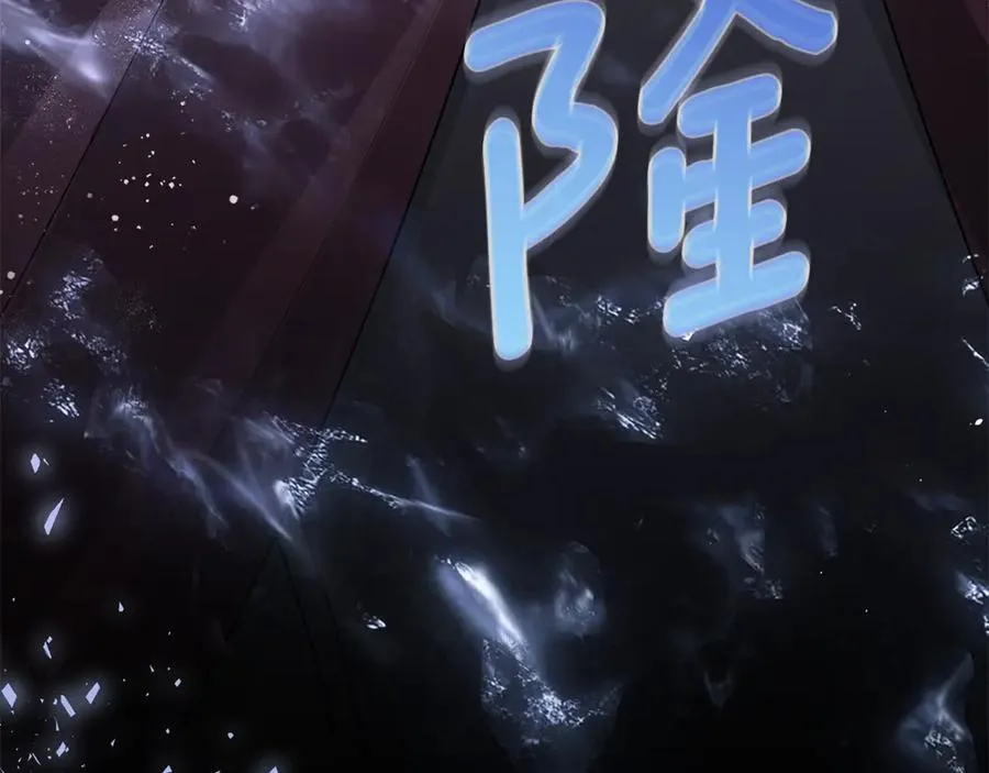 第223页