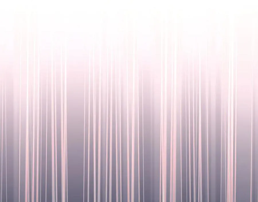 第204页