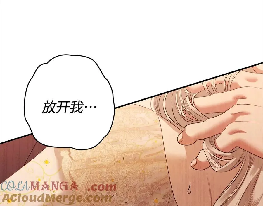 第213页
