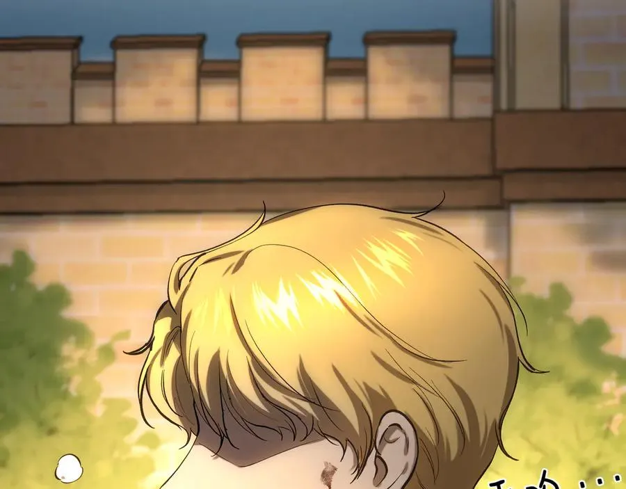 第216页