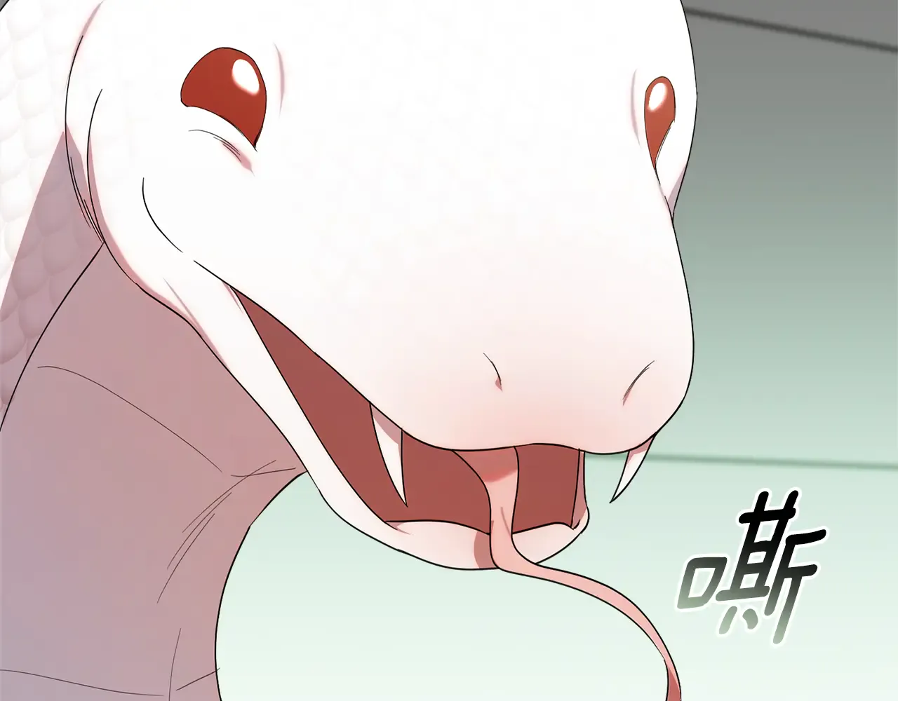 第215页