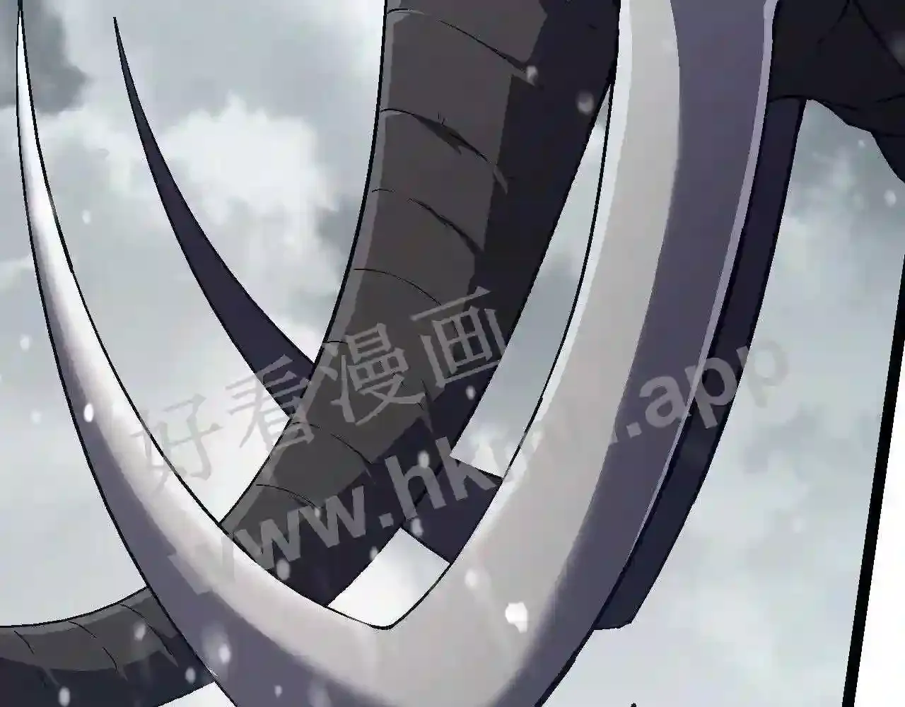 第204页