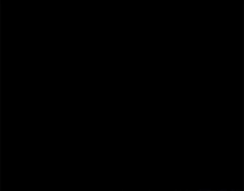 第215页