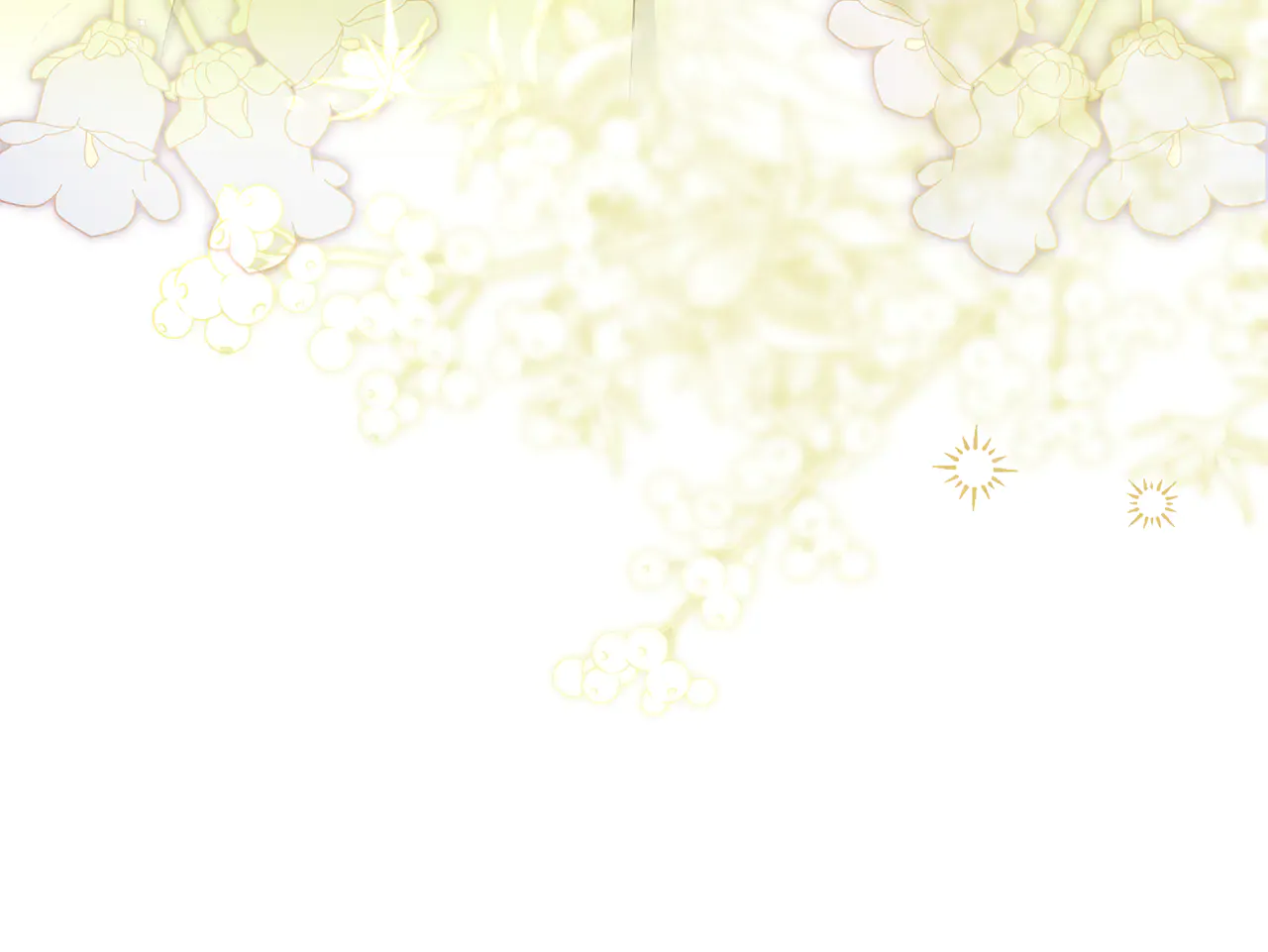 第215页
