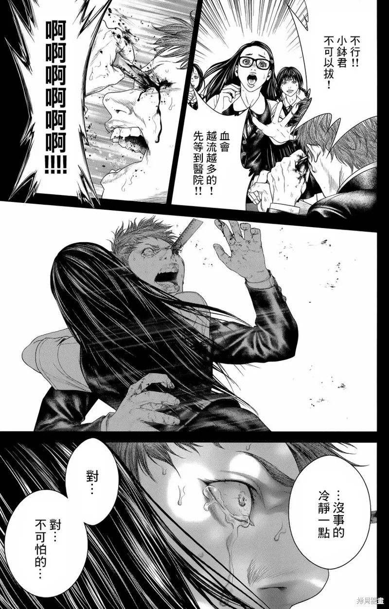 第43页