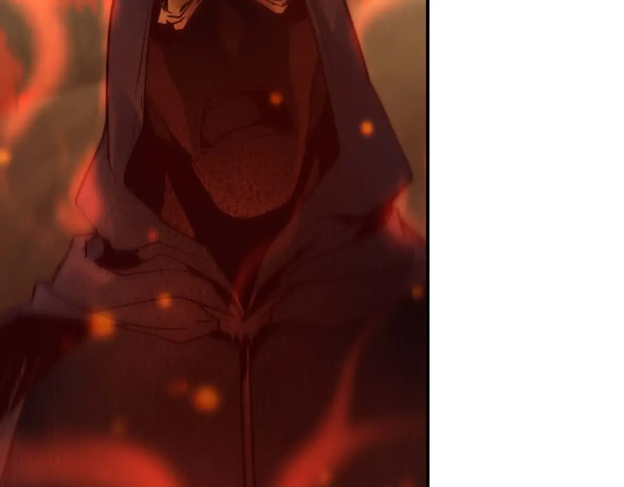 第217页