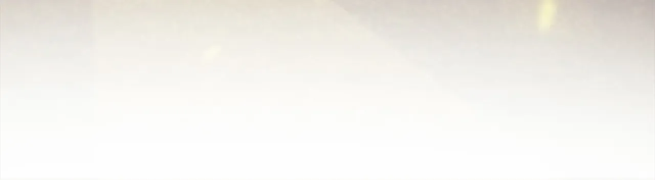 第239页