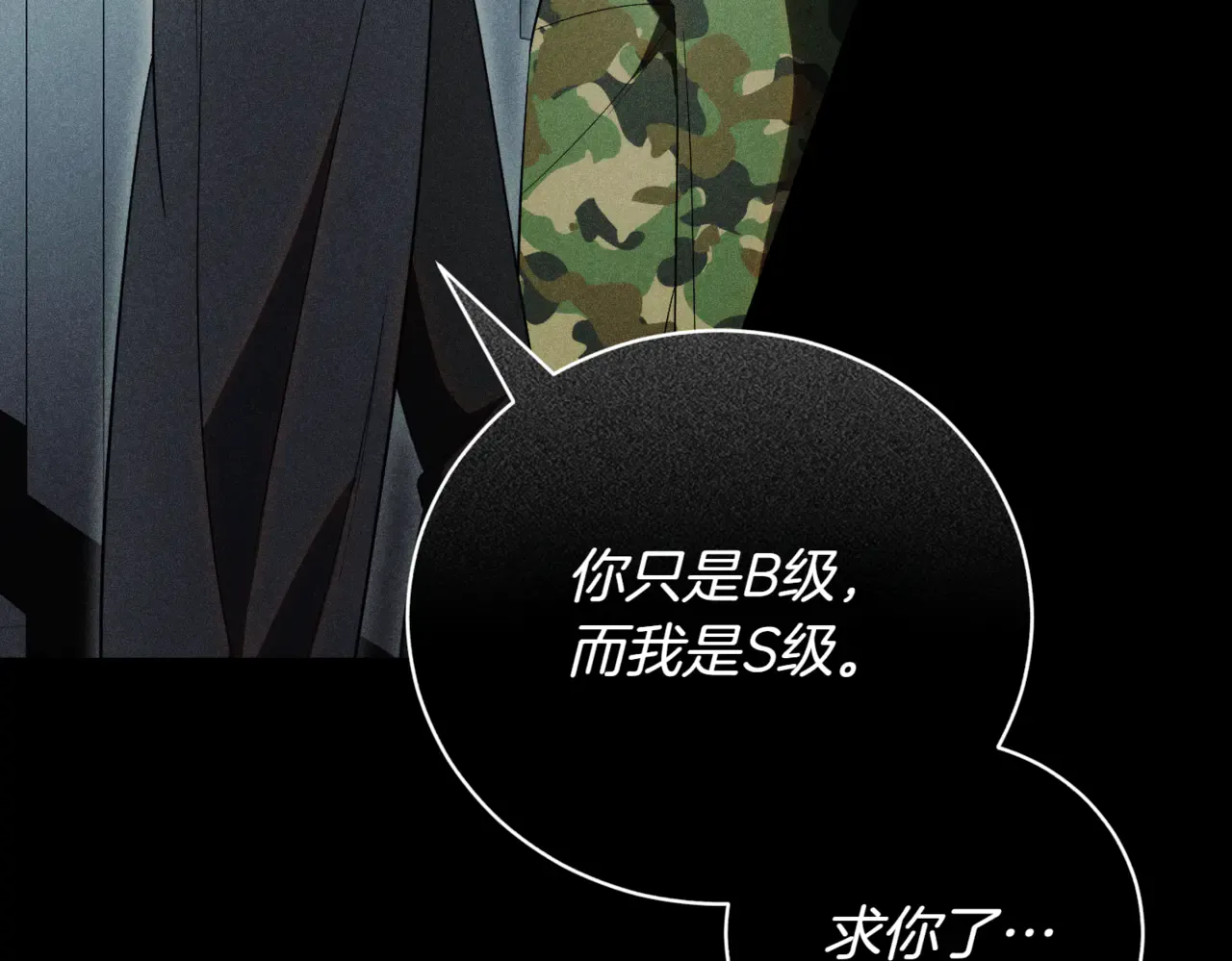 第240页