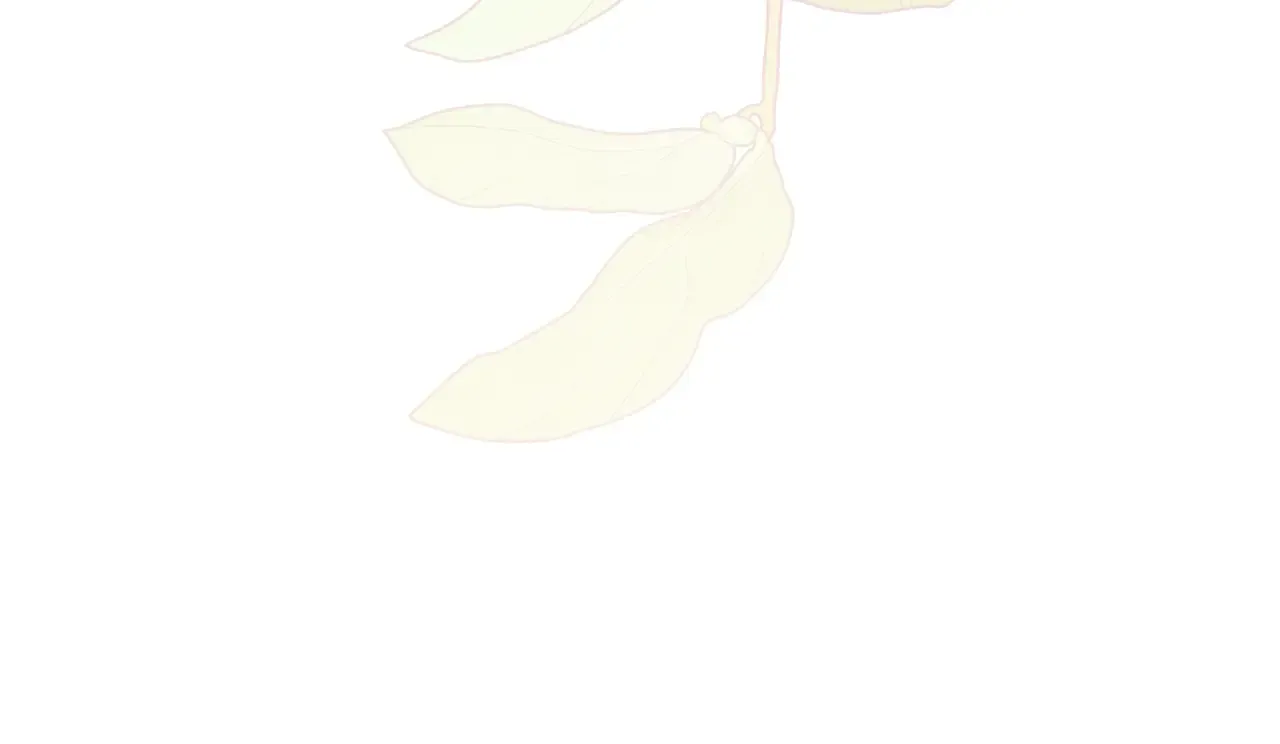第202页