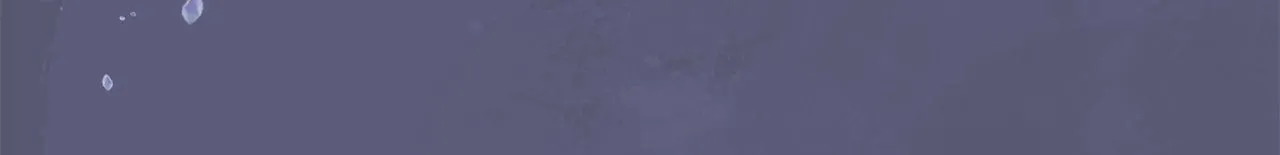 第196页