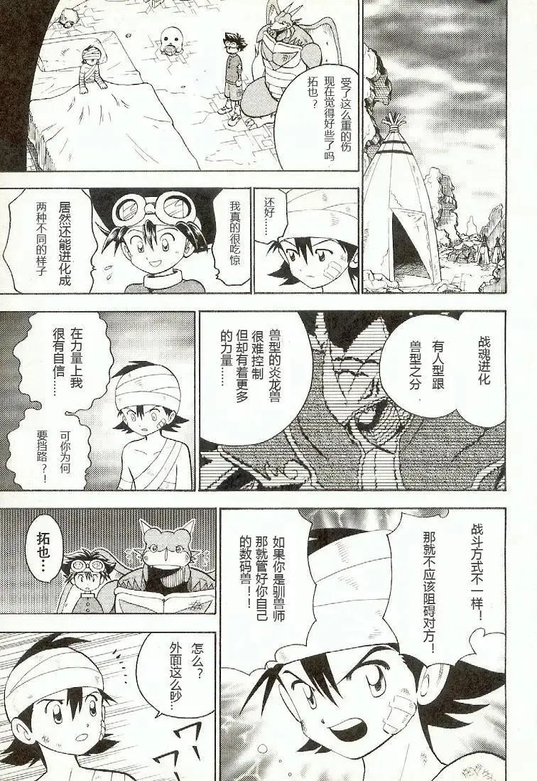 第29页