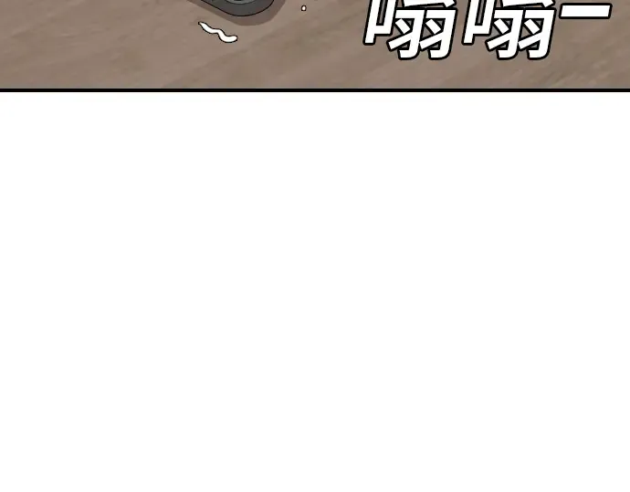 第204页