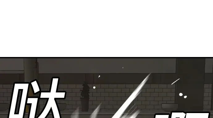 第251页