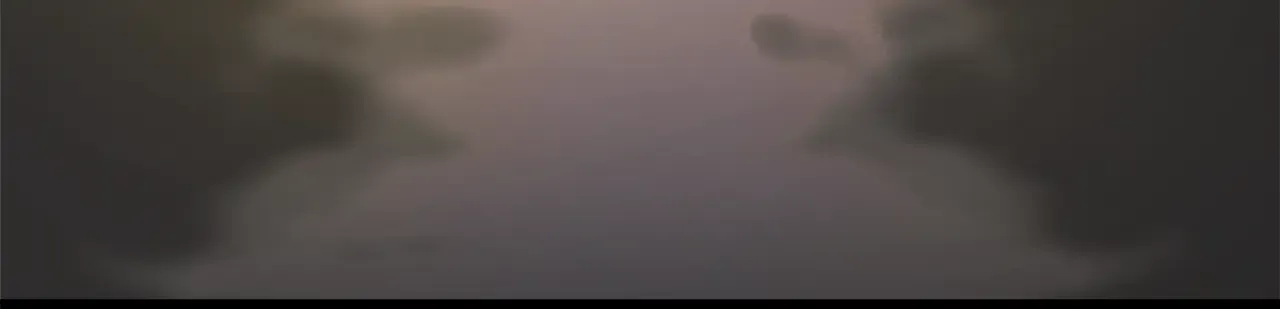 第300页